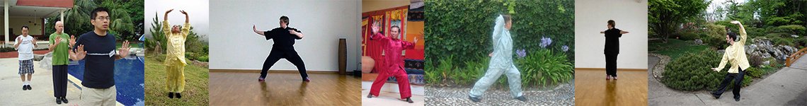 Picture showing the diversity of Tai Chi Chuan